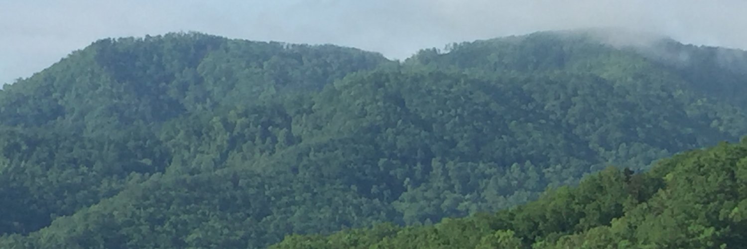 timthemarcomguy's profile banner image