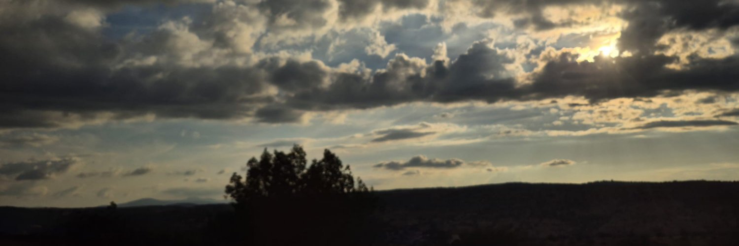 myrinasiren's profile banner image