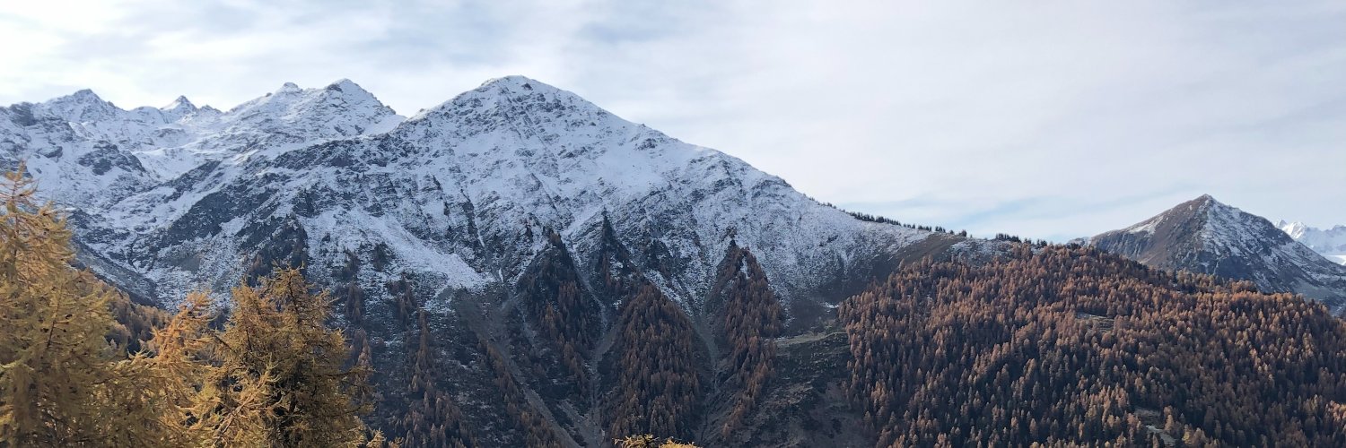 hoffmannpatrik's profile banner image
