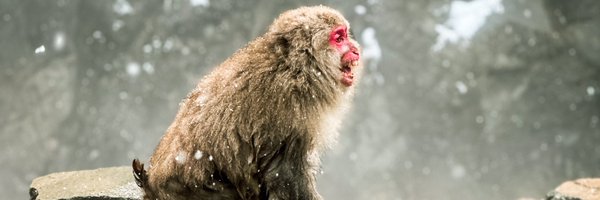 BIMBOSATTVA_ Profile Banner