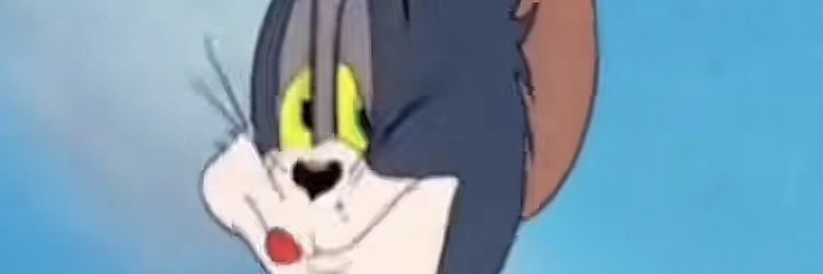 MrsVeryCoolLADY's profile banner image