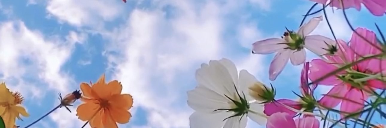 SmishSmash57's profile banner image