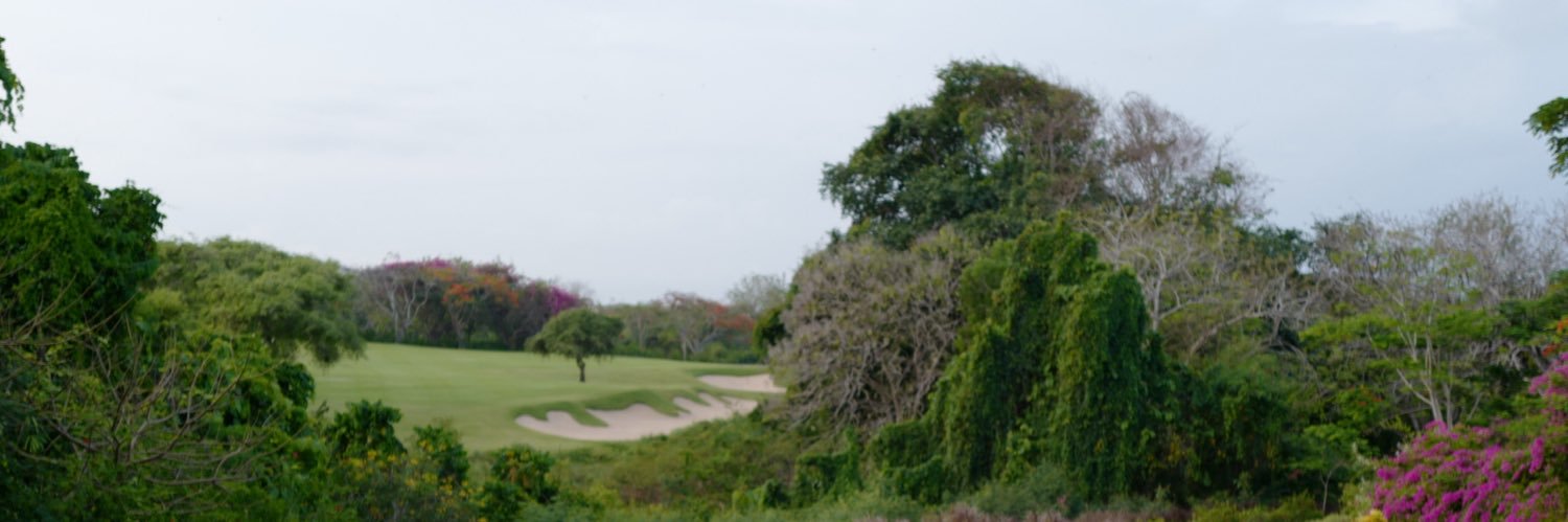 putri aisyah amani banner