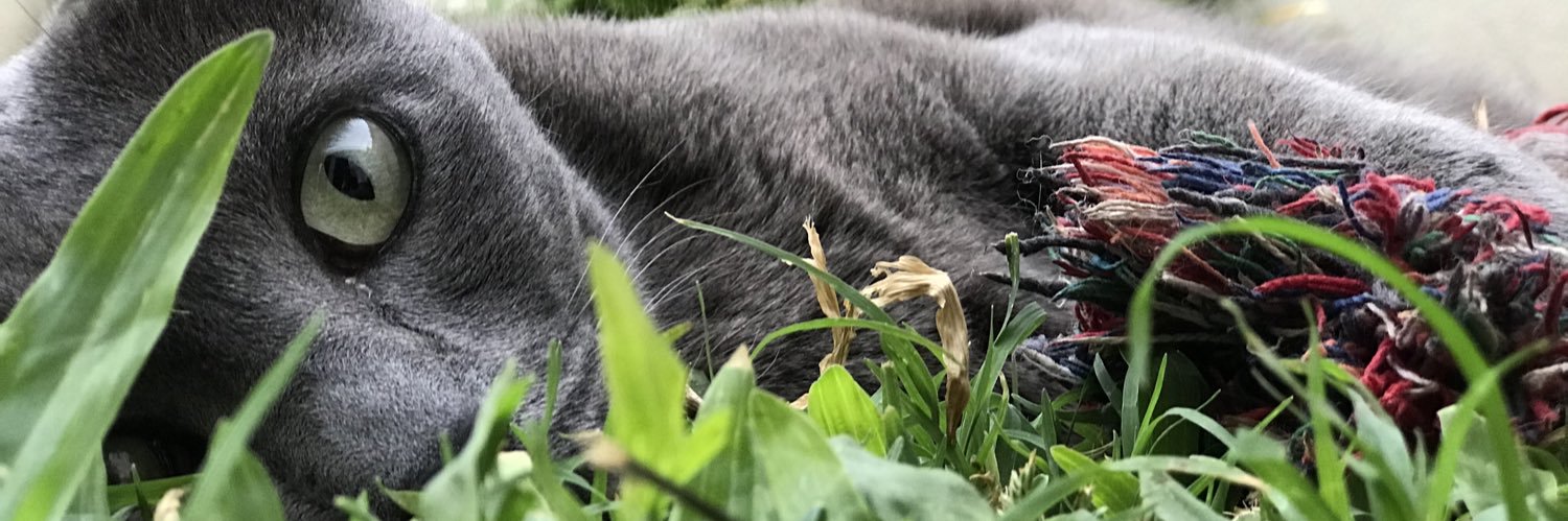 Mickeylaah's profile banner image