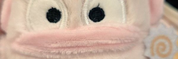 sejeong85 Profile Banner