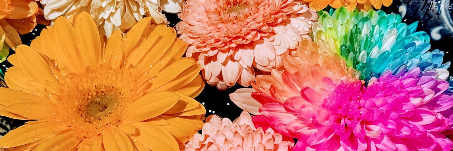 刹那 希悠 banner