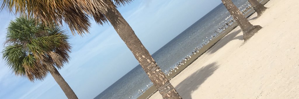 Packermom31's profile banner image