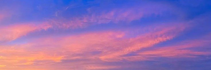 Lychee190's profile banner image
