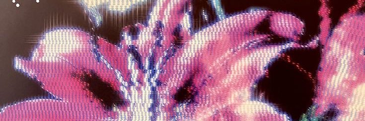 cigsafterswift's profile banner image