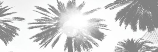 JanoCashh's profile banner image