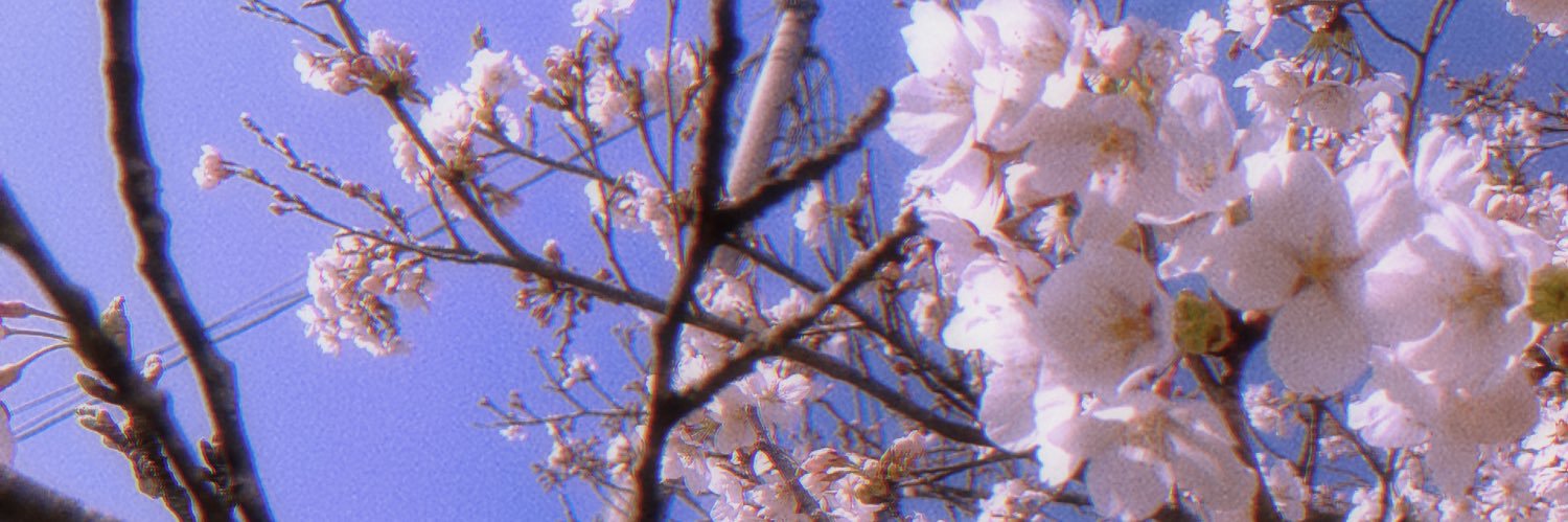 ninotsugi_333's profile banner image