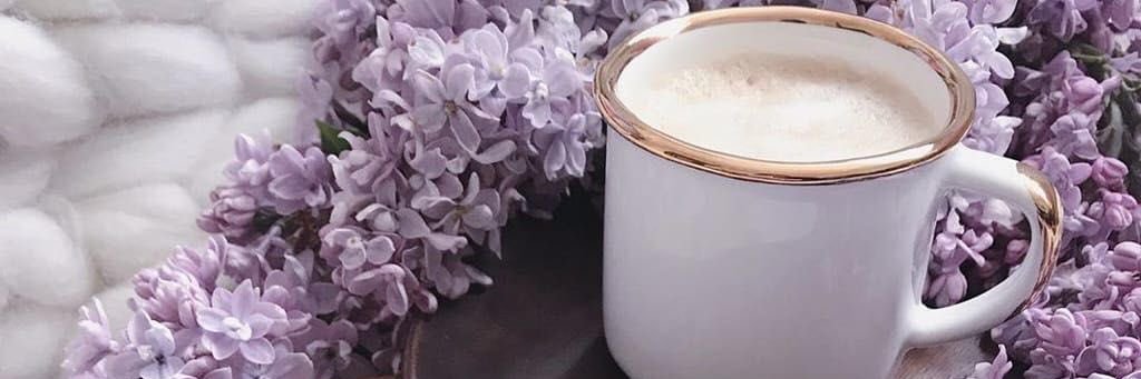 𝓟𝓮𝓽𝓻𝓪 𝓓.🔮 | final crisis banner
