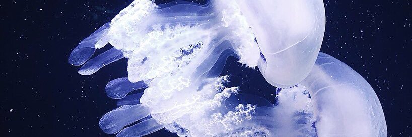 faniel6179's profile banner image