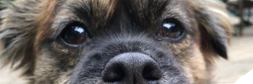 akarcher12's profile banner image