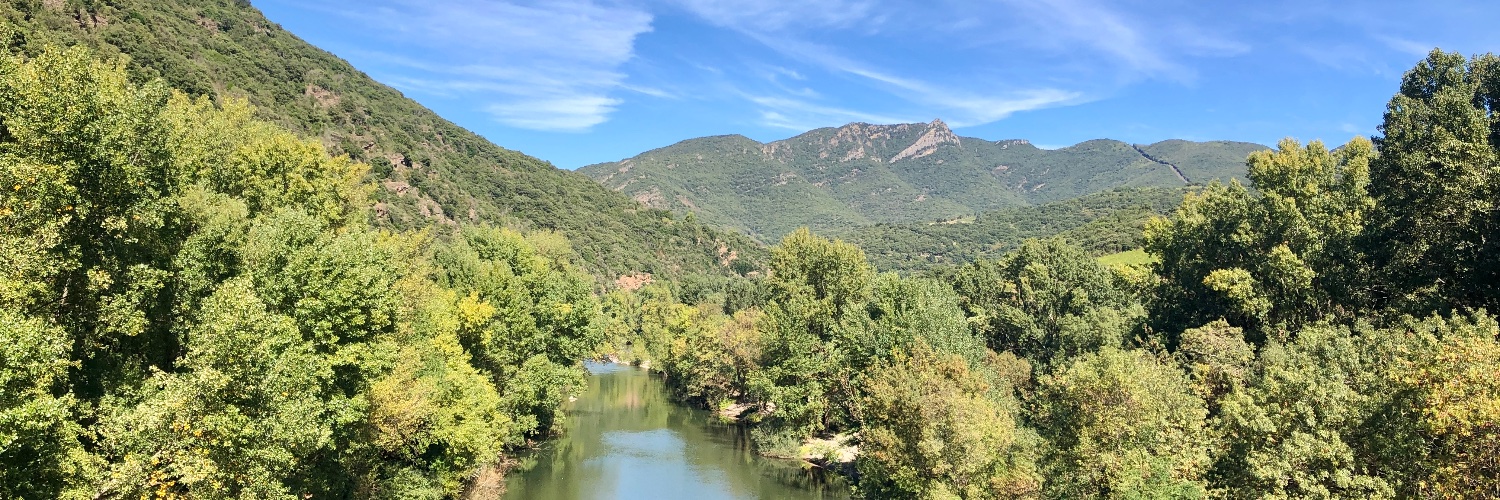 Mick Dickinson banner