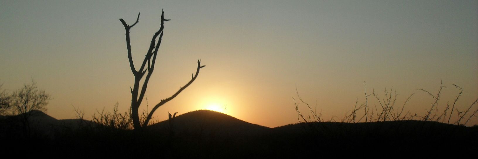 Honeyguide15's profile banner image