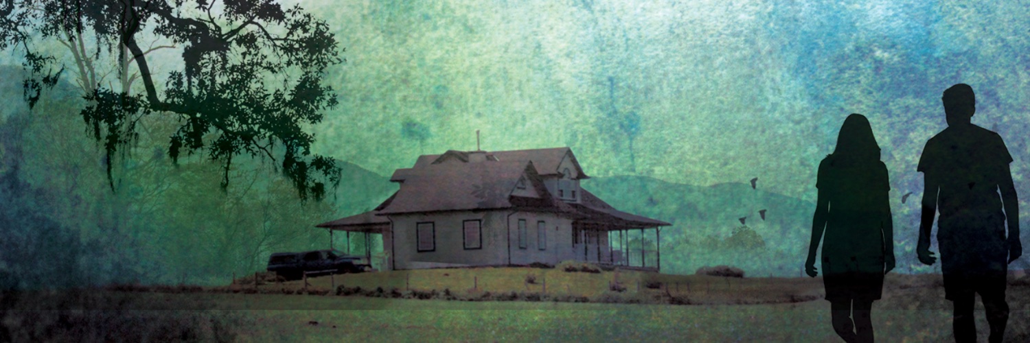 Diane Chamberlain banner