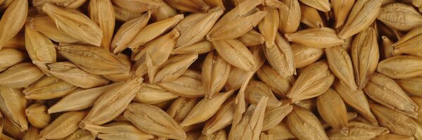 Nutrición Chile banner
