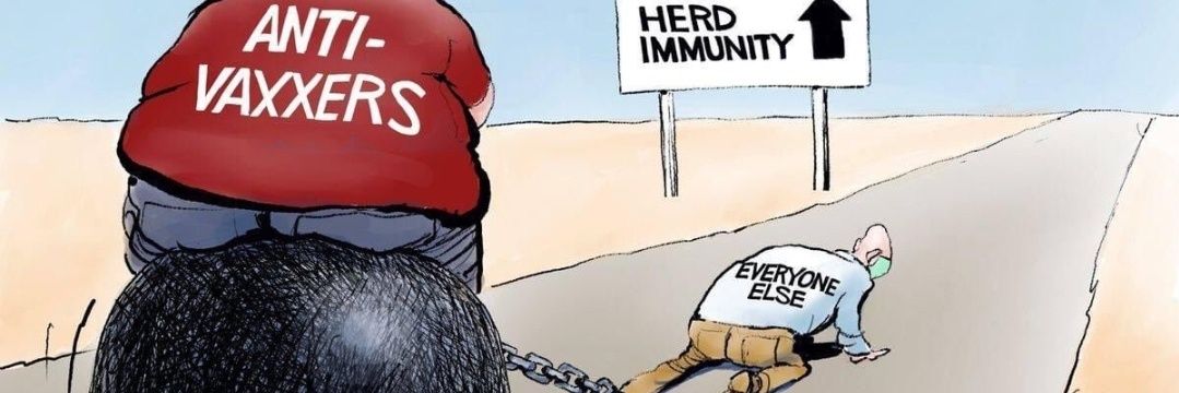 Crocs & Stocks 😷 banner