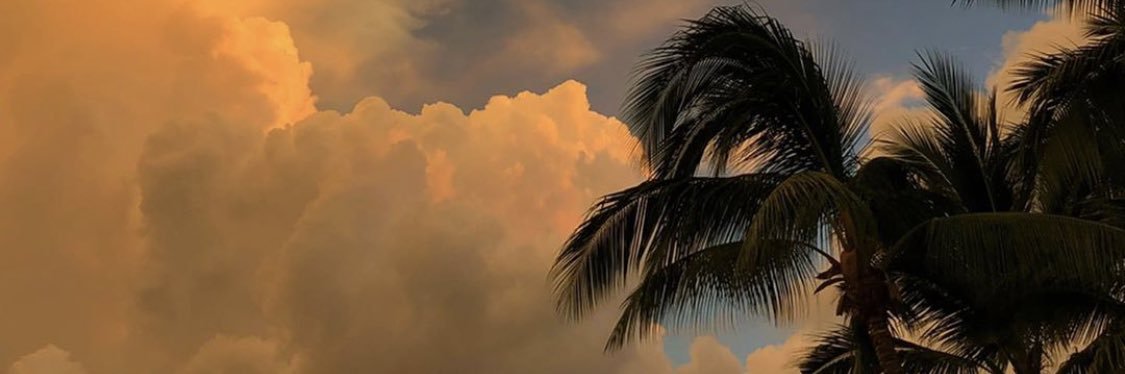 Ronninichole_'s profile banner image