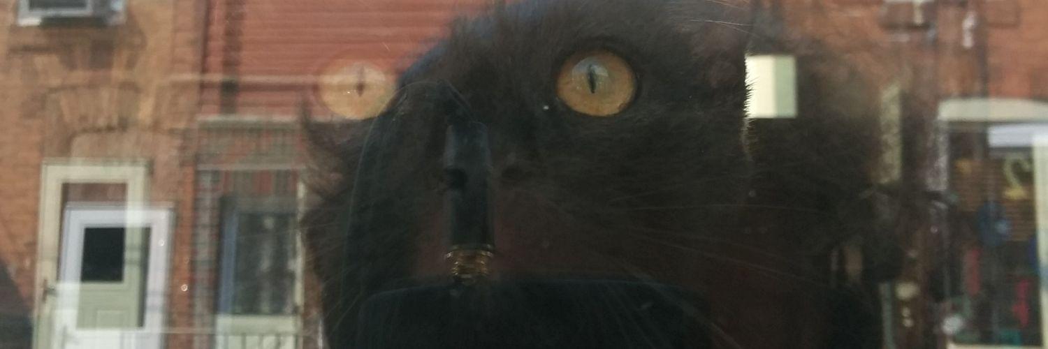 koniges's profile banner image