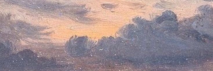 lily | shining star ✰ banner