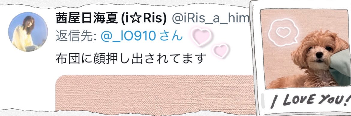 もかちゅ꒰ • ·̫ •Ｕ ꒱ྀི♡ banner