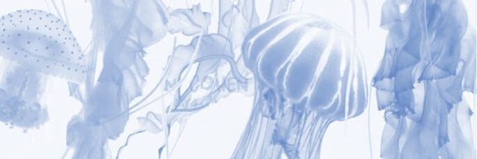 🪼 banner