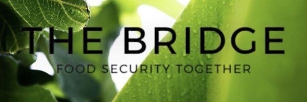 TheBridgePlym Profile Banner