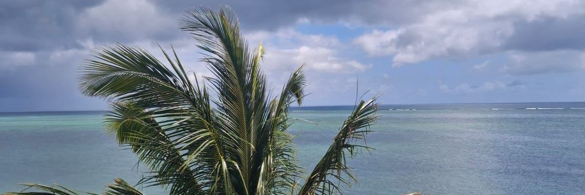 Jnows🫵🏼 banner