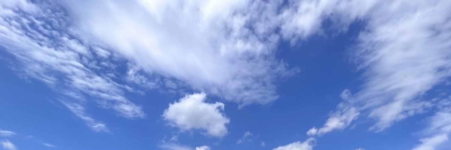0302_oshi's profile banner image