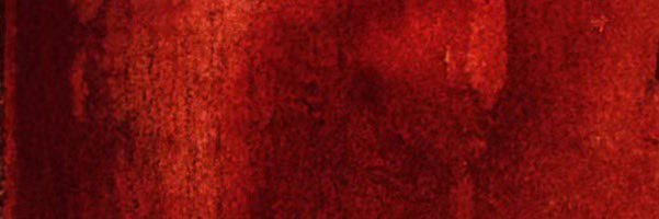 xxygen2444 banner