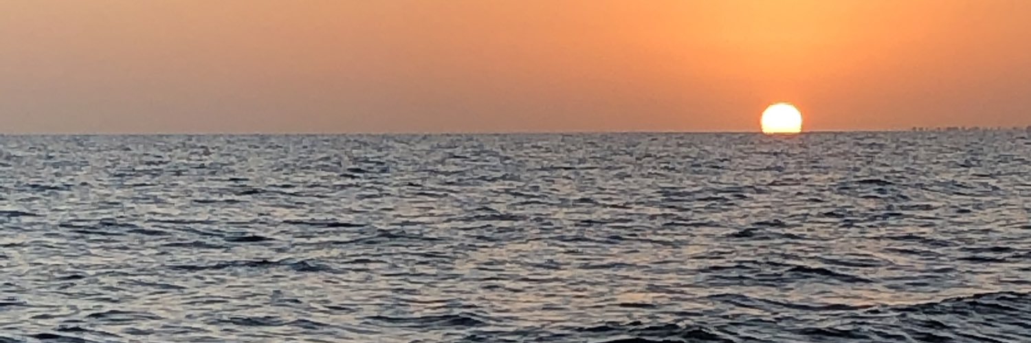 Shannon Freel banner