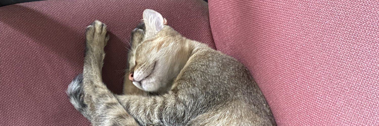 dinde🫥🐸 banner