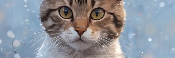 Tweet Martial 🇵🇰 banner