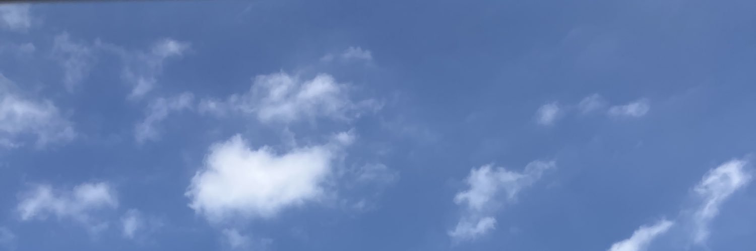 cneko_VRC's profile banner image