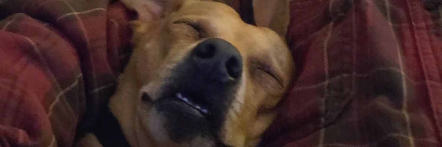 sonnycalif's profile banner image