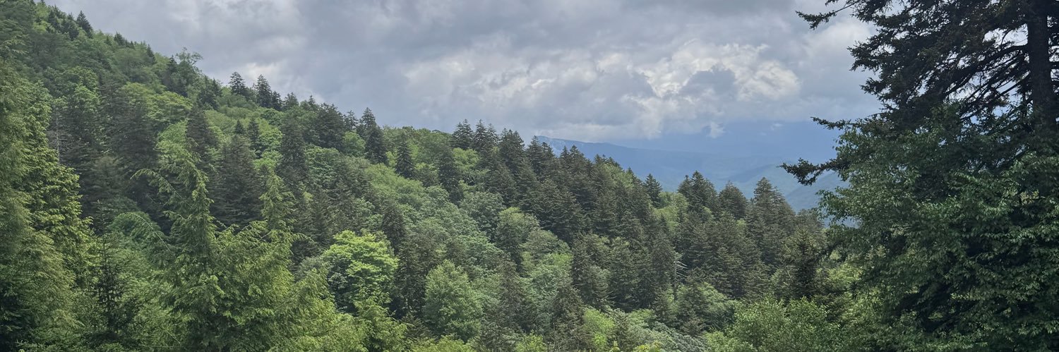 Jared Terry banner