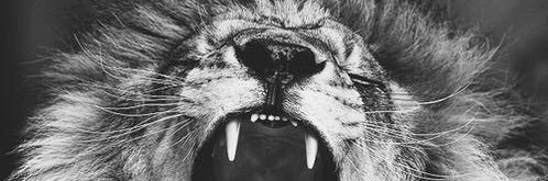 rougelune_'s profile banner image