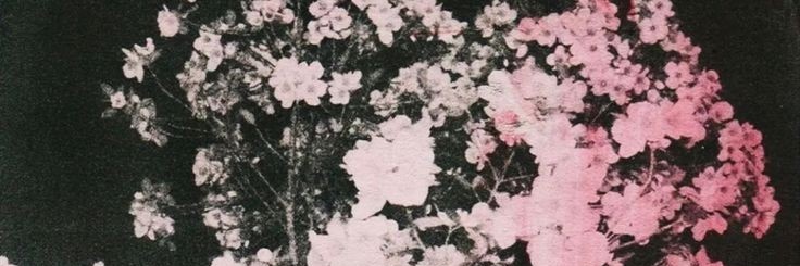 Yvonne. banner