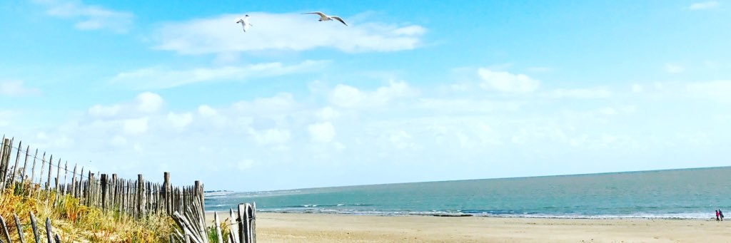 Heyyy_Milie's profile banner image