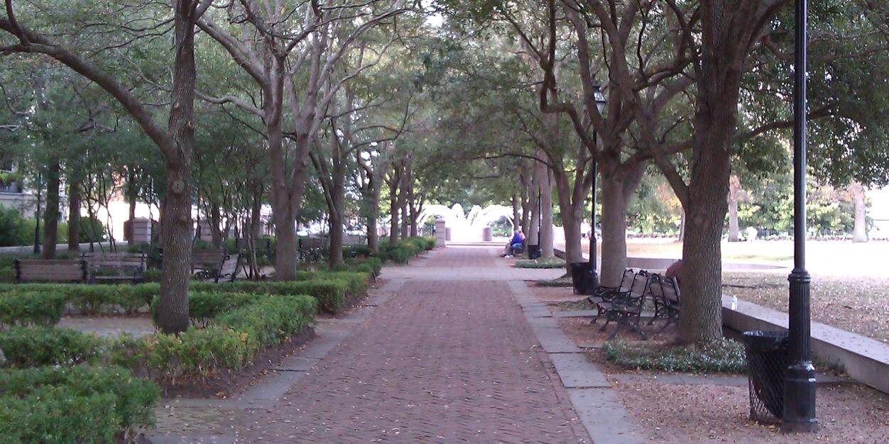 Jennifer Morris banner