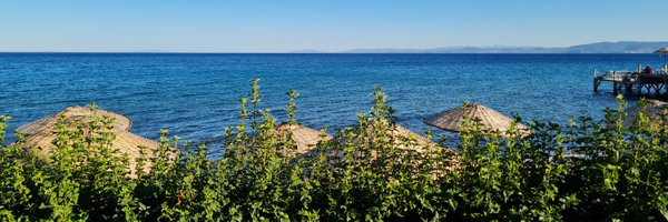 seyfihoca Profile Banner