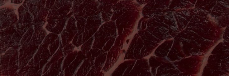 Aggressive Dog 🔞COMMISSIONS OPEN🔞 banner