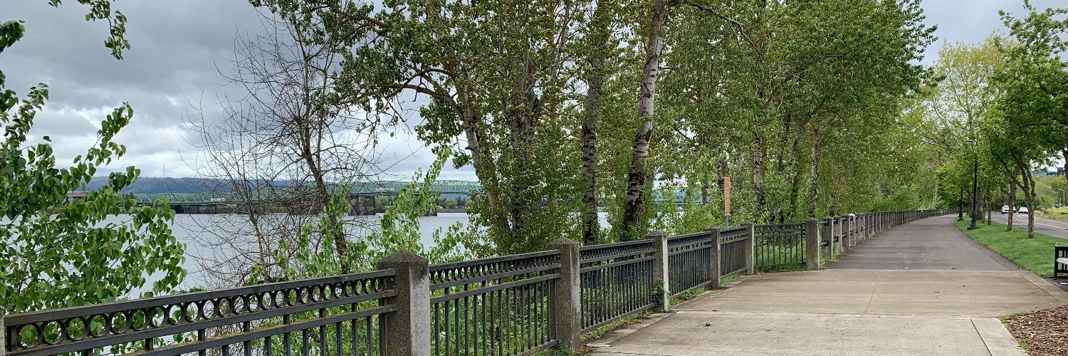 Andrea Katton banner