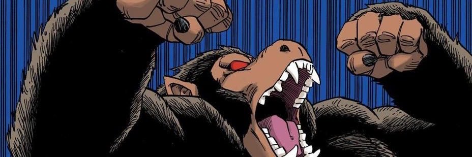 Vatoloconorte's profile banner image