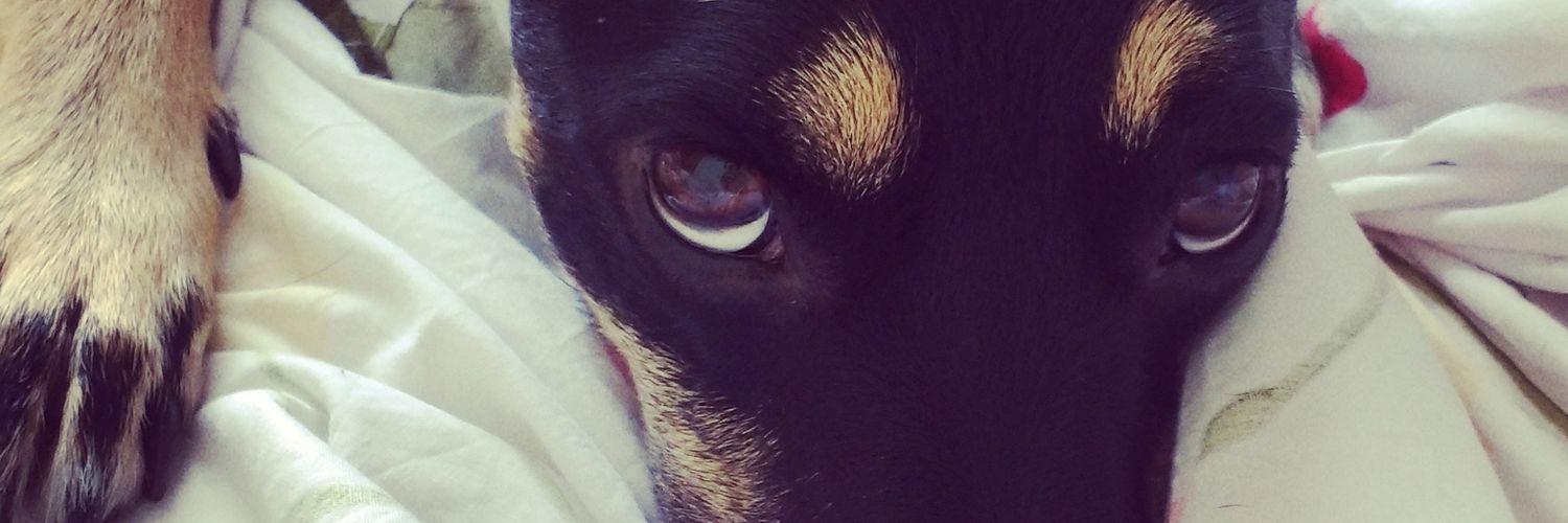 PritMT's profile banner image