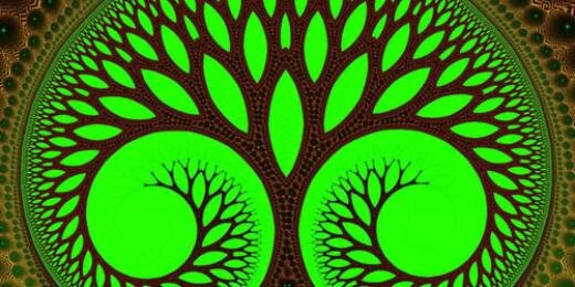 Dr. Dannii Cohen✡ banner