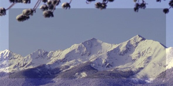 CCFLT Information banner