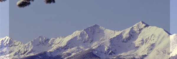 CCFLT Profile Banner